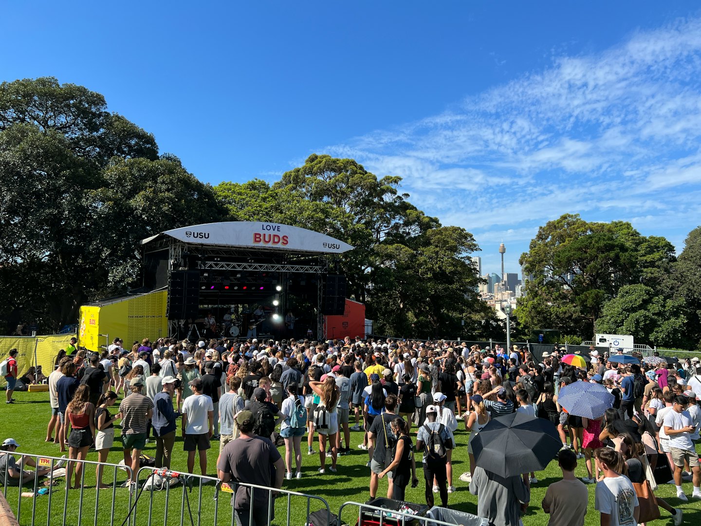 Crowd of young people at an outdoor music festival in a park.